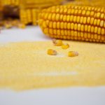 製薬業界におけるコーンスターチの革新的な応用